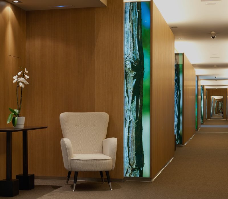 habitaciones-web-ppal